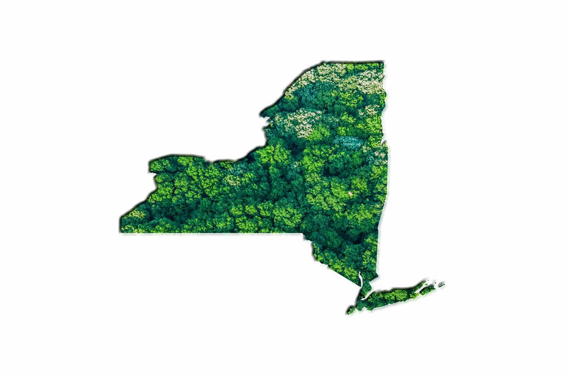 New York State map with trees representing renewable energy