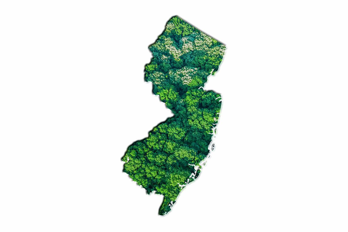 New Jersey state shape with trees